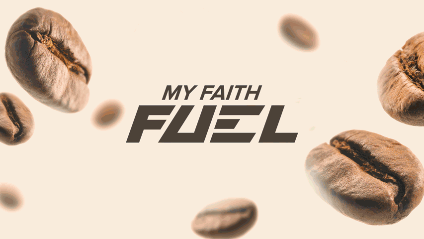 Design work showcase - mf2f animated design